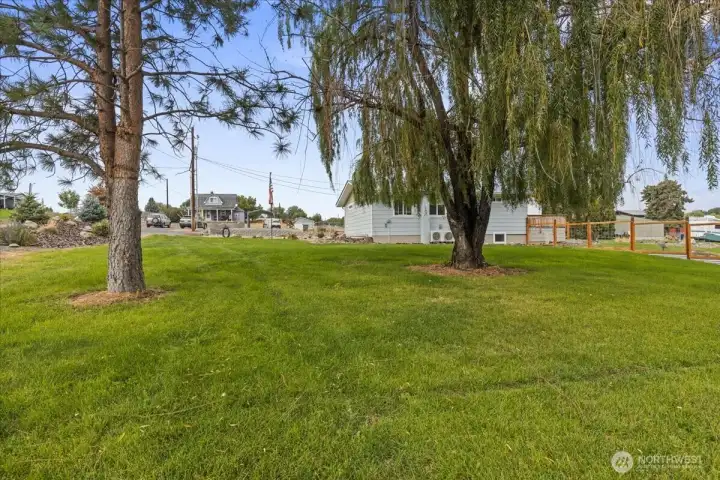Right front side yard
