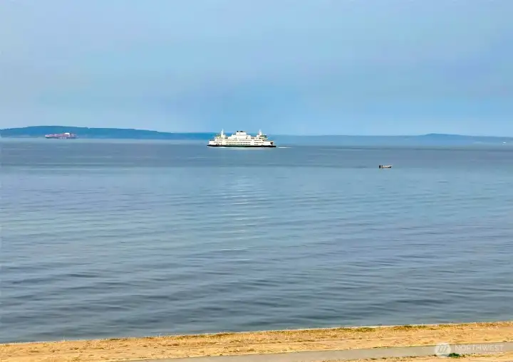 Alki beach at it's best.