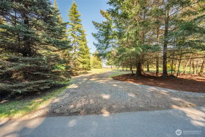 Driveway into Lot 7