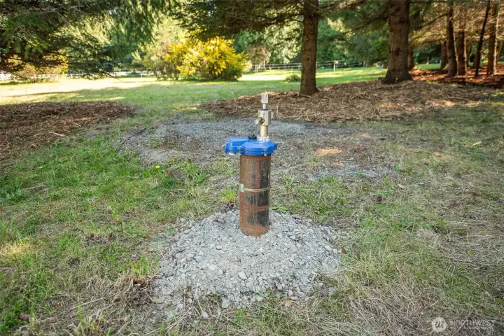 Well head on right side of driveway.