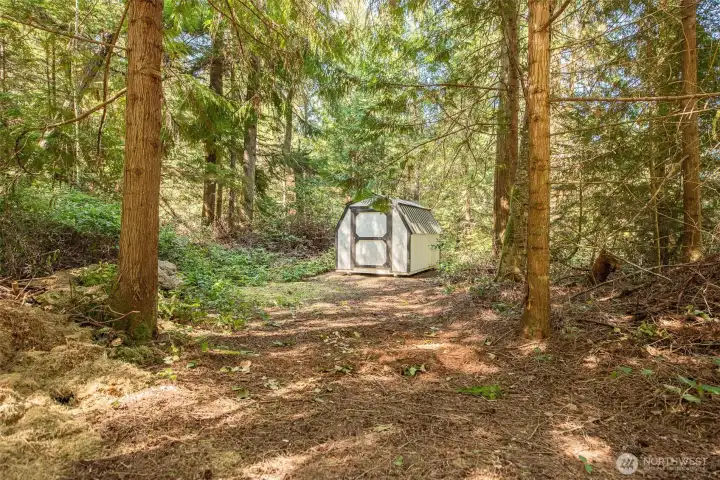 Before Breakpoint green road sign, I an outbuilding in the woods.