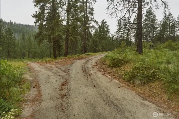 View of Washington Creek Rd. on road to property. Continue on high road to the right to property. View of Washington Creek Rd. on road to property. Continue on high road to the right to property.