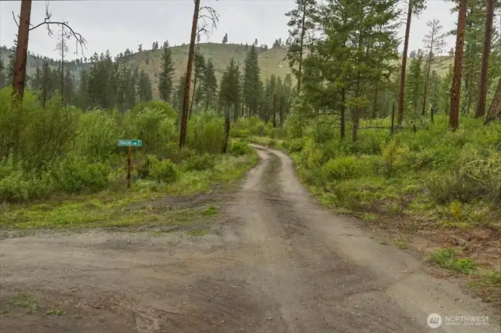 View of Washington Creek Rd. Continue straight to property. View of Washington Creek Rd. Continue straight to property.