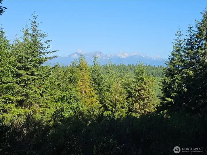 Olympic Mountain Views