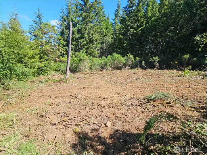 Approx 1/2 cleared site