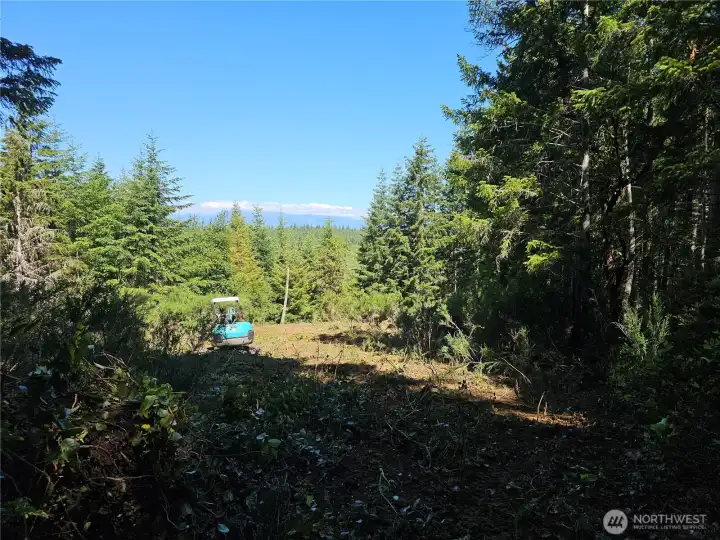 Plenty of additional land to clear a larger building side on the Right side of this clearing