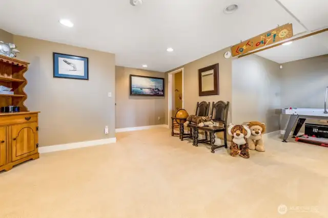 Entertainment, family/rec room