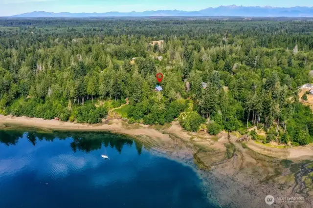 A true salt waterfront oasis with frequent orca sightings!