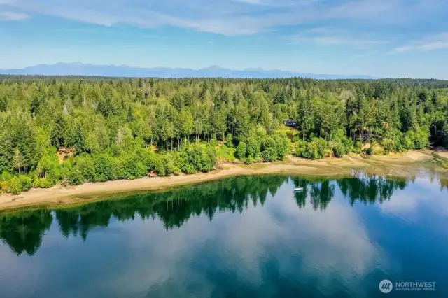 Walk down to the water! Pickering Passage is pristine and has many Orca sightings.