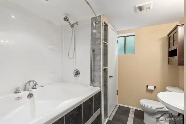 Lower Level Bathroom with Jetted Tub