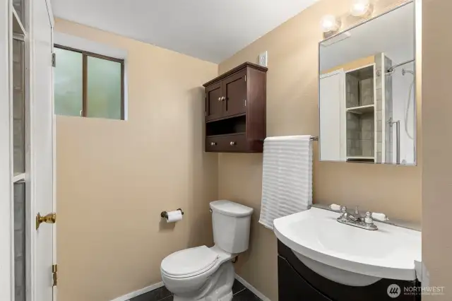 Lower Level Bathroom