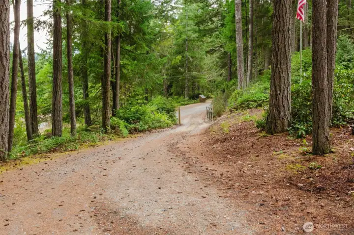 Country road leading up the driveway to the house