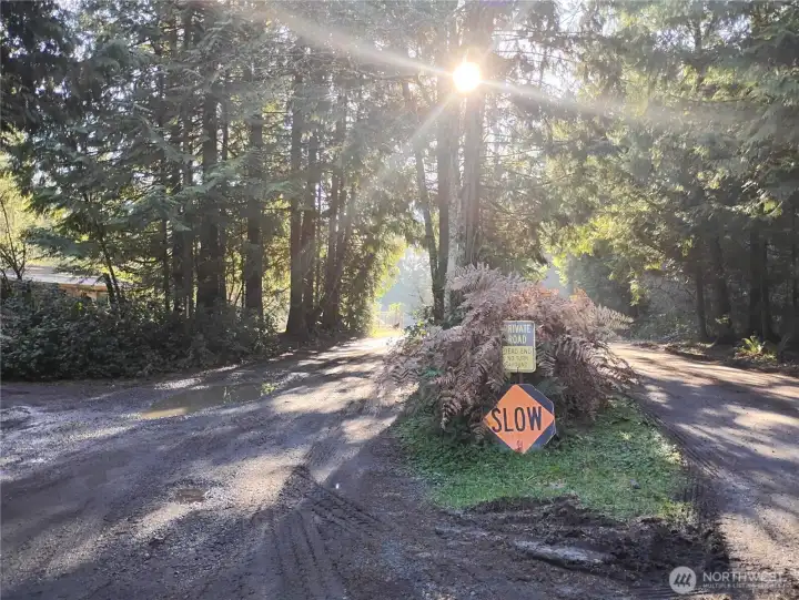 Upon approaching the house on the left, the road splits and you must stay to the left until you reach the driveway gate. Please do not show up without an appointment.