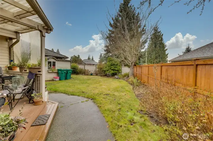 Back/Side yard