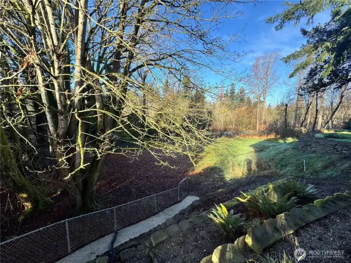 Large lower yard behind the house.