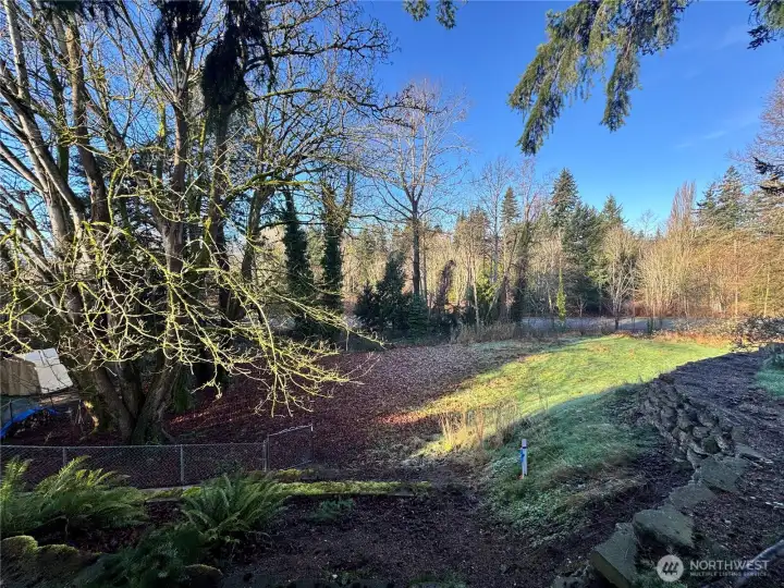 Lower back yard goes down to Squalicum Creek.