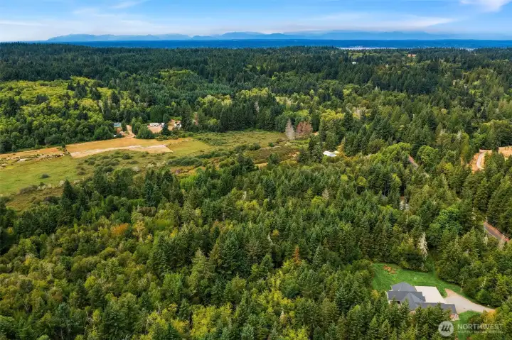 Drone shot of the property- roughly 12.83 acres of forested land between the house (lower right and the farm land).