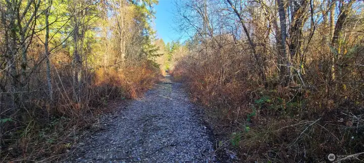 Trails where maintained by sellers - they used this property mostly for recreational walking.