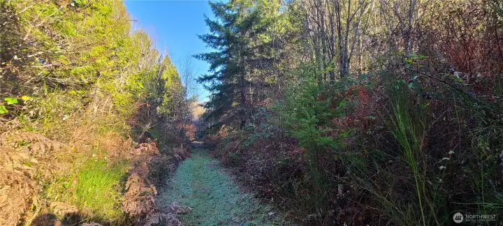 There are two building sites on the property.