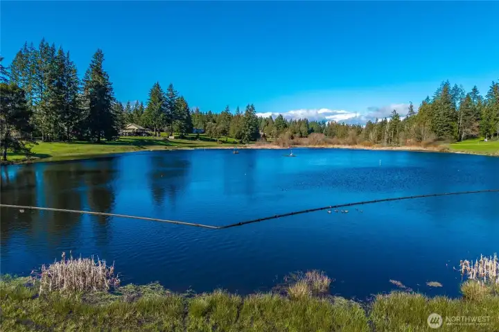 Picture yourself HERE this summer!