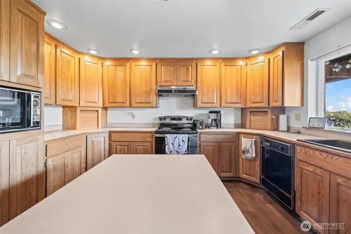 Second kitchen!  Even the kitchen in the ADU on the lower level has an island.