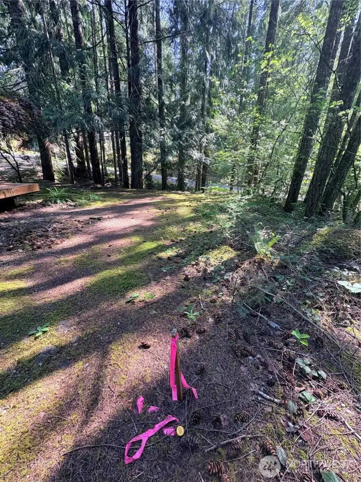 Survey stake right side