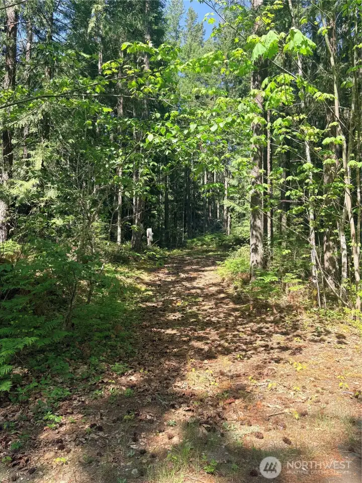 Bottom of driveway