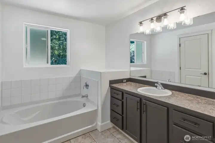 Primary bathroom tub.