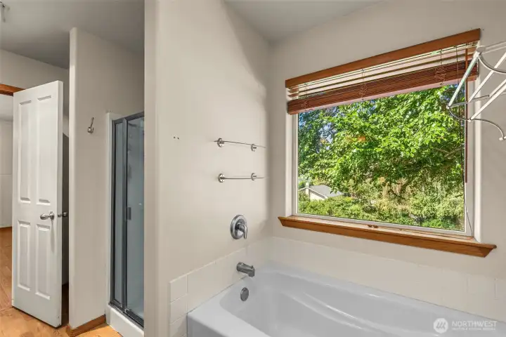 Separate tub and shower in primary bath Separate tub and shower in primary bath