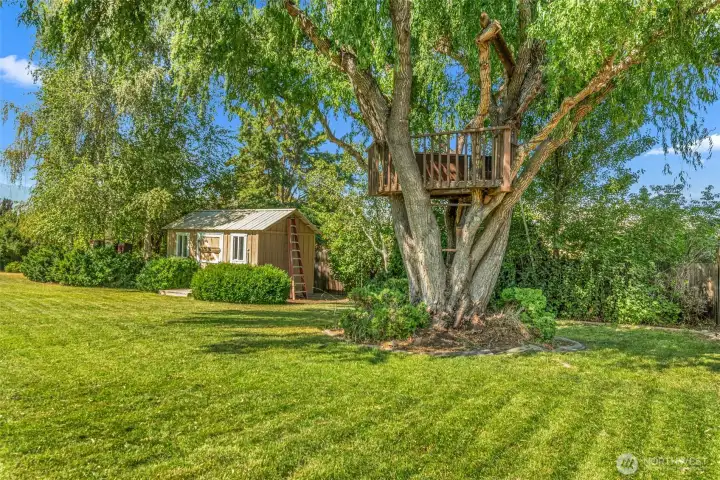 Tree house and storage shed Tree house and storage shed