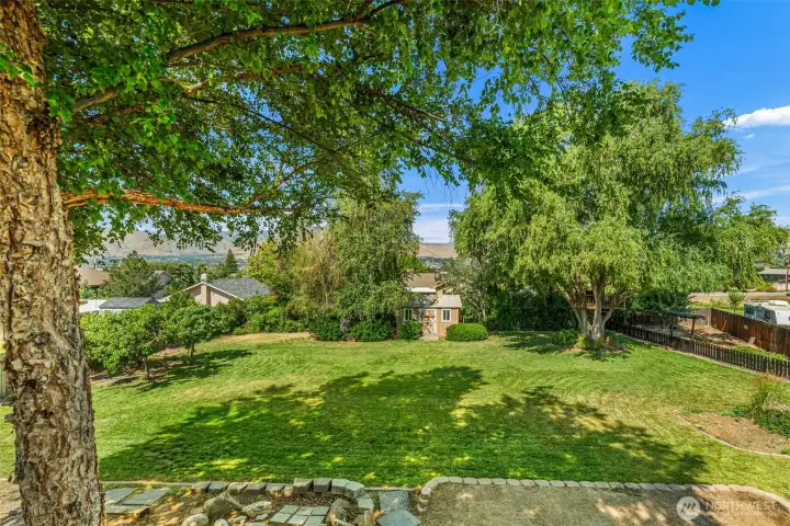 Looking at the backyard from the lower level patio Looking at the backyard from the lower level patio