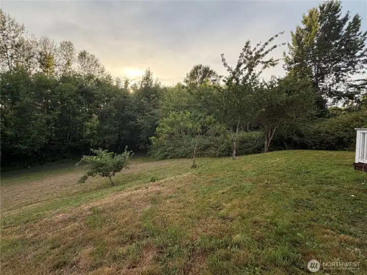 Backyard Backyard