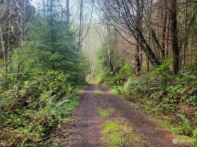 Driving in from 101 at entrance to this property.