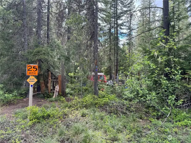 Room to expand or build a new home in the woods