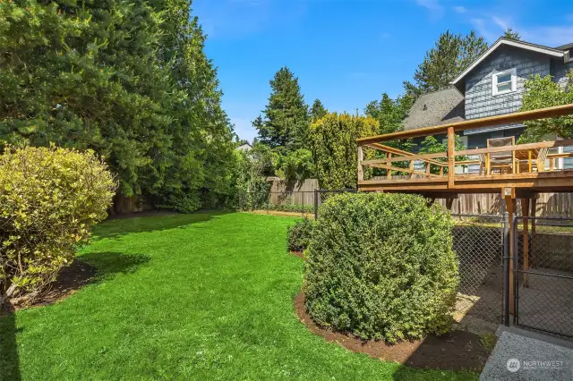 Spacious back yard plus a fenced dog run below the deck and along the east property line.