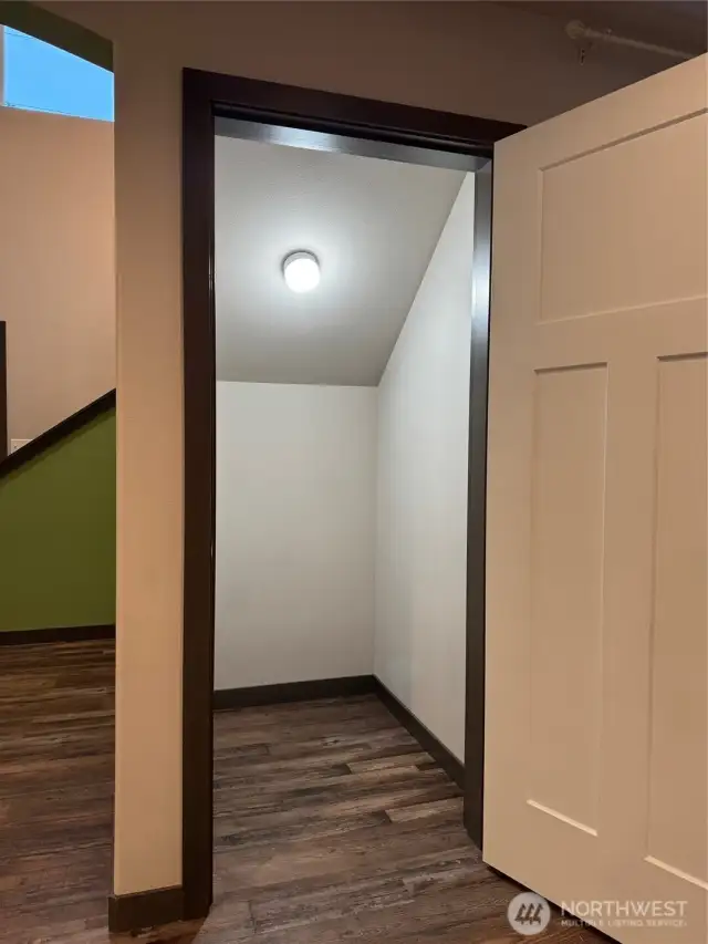 Large lighted storage closet under stairs.