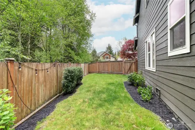Side yard with garden beds and room to play.