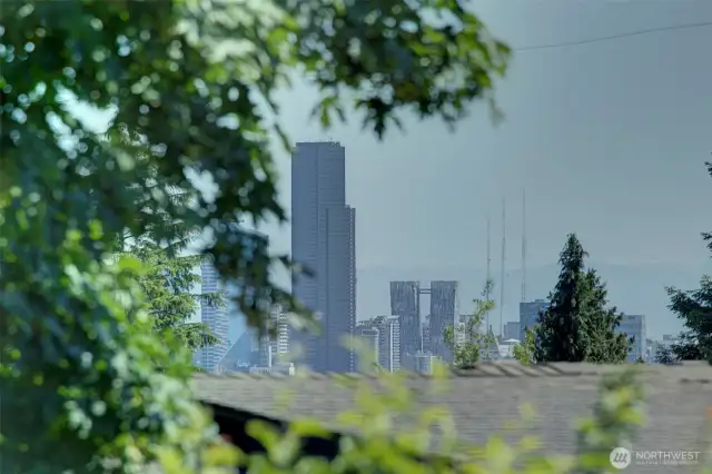Territorial, Cascade Mountain View, and peek City views off primary window.