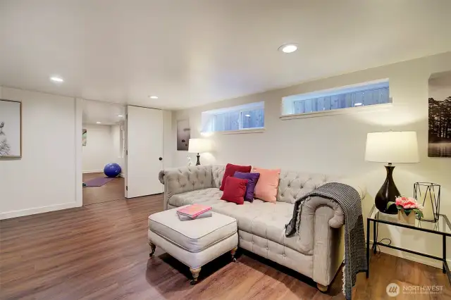 Lower level family room.