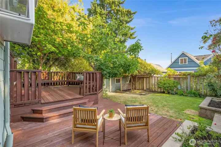 fenced-in back yard with apple and fig trees!