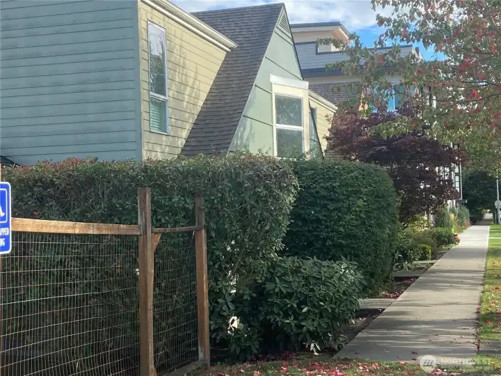 Townhomes Next Door