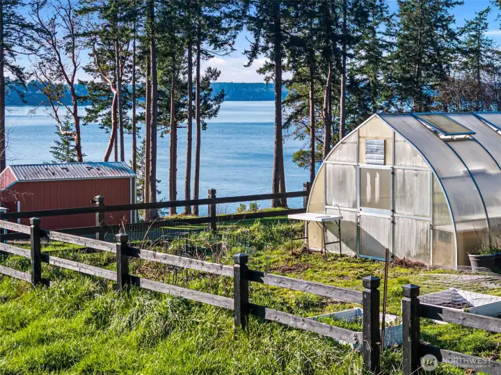 Greenhouse ideal for year-round gardening and plant cultivation.