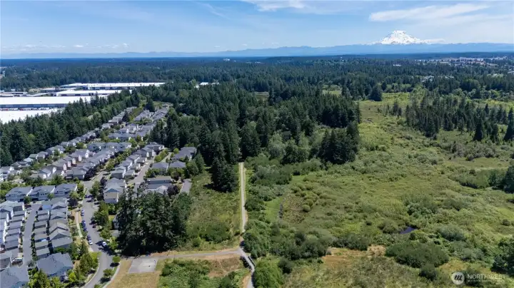 You can see Our Majestic Mt Rainier in the upper right side.