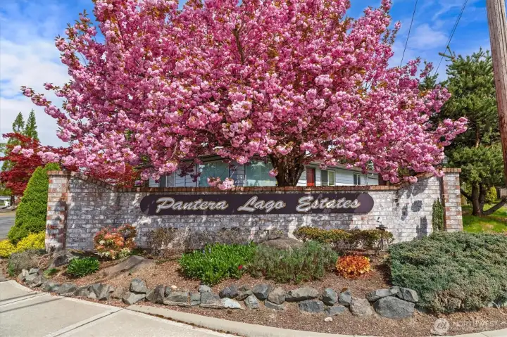 Welcome to Pantera Lago!