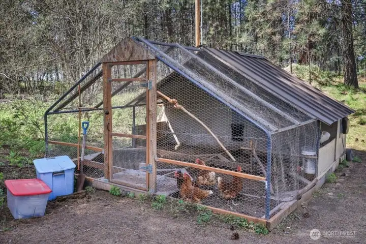 Chicken Coop