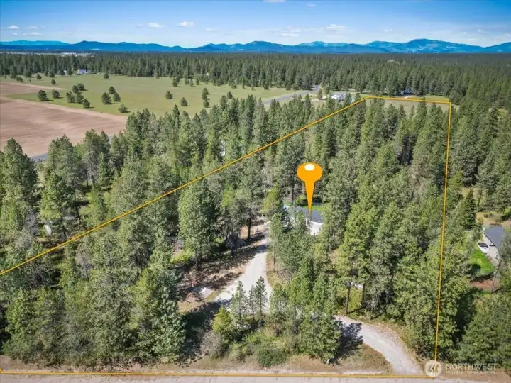 Nice piece of land - so much area to use that has not been touched.