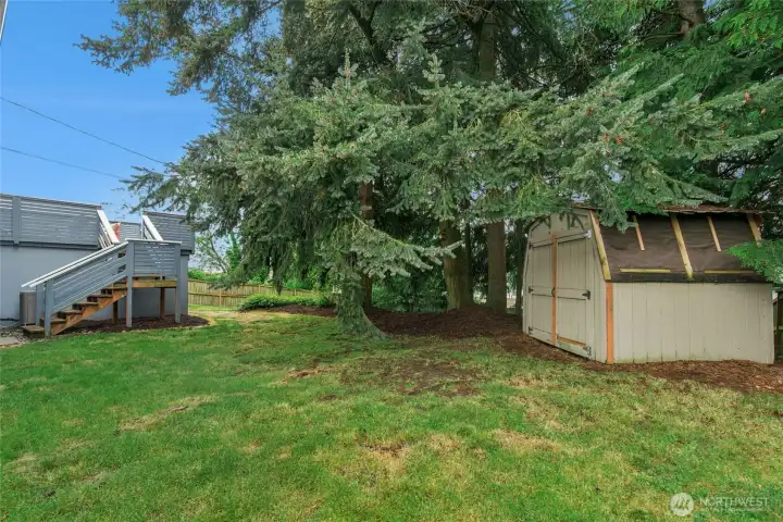 Storage shed for all the garden tools in large fenced backyard