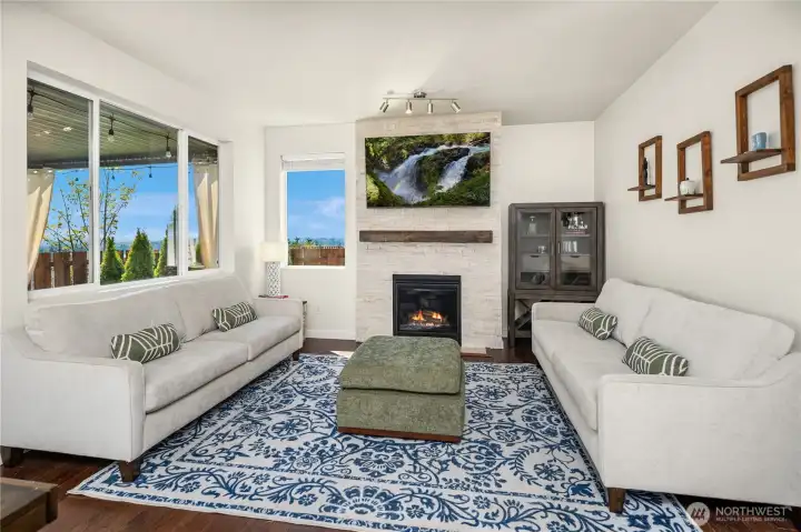 Large room allows for 2 full size couches-