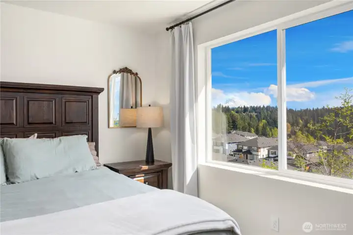 Feeling of no neighbors in a treehouse setting- long valley view and Mt Rainier