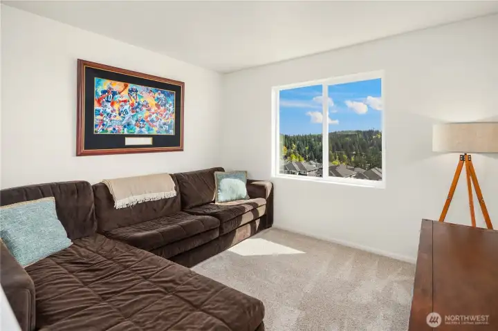 The Bonus room is a great hangout and overflow space. With a few changes can converted to a 4-bedroom